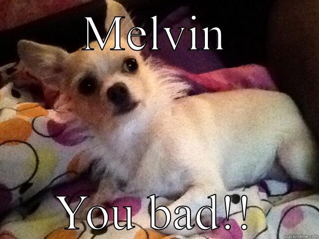 MELVIN YOU BAD!! Misc