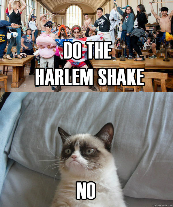     -      harlem shake