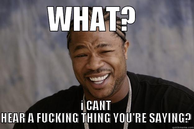 YO DAWG - WHAT?  I CANT HEAR A FUCKING THING YOU'RE SAYING? Xzibit meme