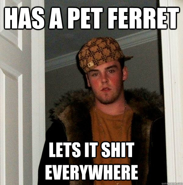 Has a pet ferret Lets it shit everywhere - Has a pet ferret Lets it shit everywhere  Scumbag Steve