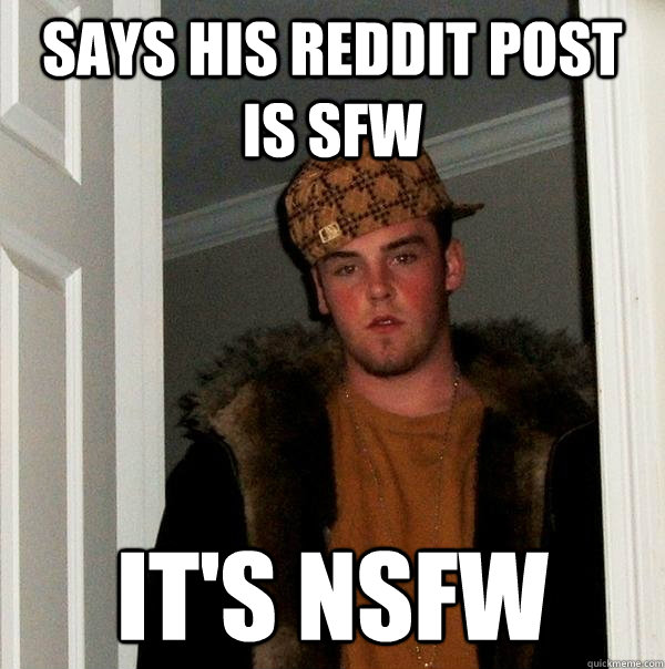 says his reddit post is sfw It's nsfw  Scumbag Steve