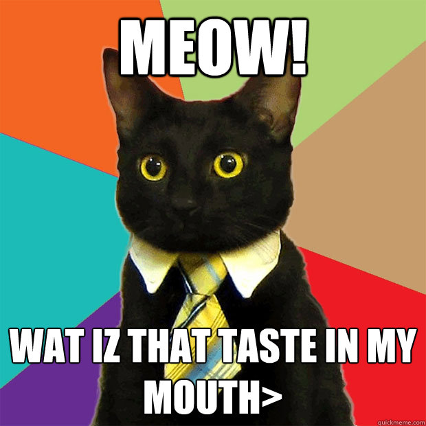 MEOW! WAT IZ THAT TASTE IN MY MOUTH>  Business Cat