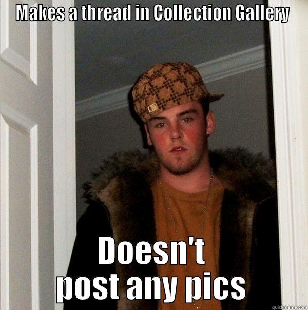 Post some pictures dammit! - MAKES A THREAD IN COLLECTION GALLERY DOESN'T POST ANY PICS Scumbag Steve