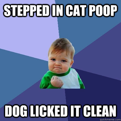 Stepped in cat poop dog licked it clean - Stepped in cat poop dog licked it clean  Success Kid