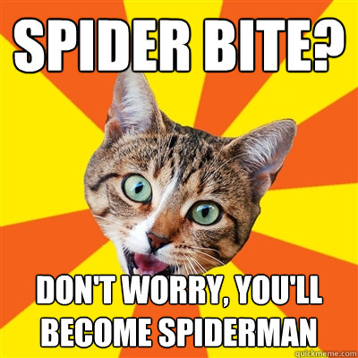 spider bite? don't worry, you'll become spiderman - spider bite? don't worry, you'll become spiderman  Bad Advice Cat