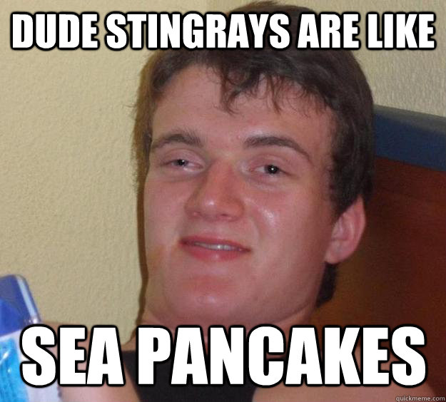 Dude stingrays are like sea pancakes   10 Guy