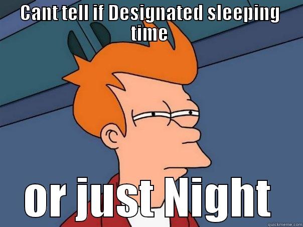 CANT TELL IF DESIGNATED SLEEPING TIME OR JUST NIGHT Futurama Fry