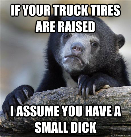 IF YOUR TRUCK TIRES ARE RAISED I ASSUME YOU HAVE A SMALL DICK  Confession Bear