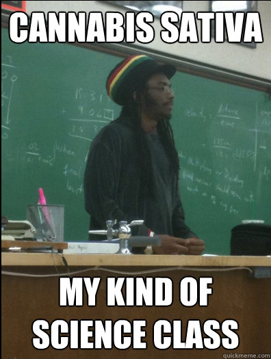 Cannabis sativa  My kind of science class - Cannabis sativa  My kind of science class  Rasta Science Teacher