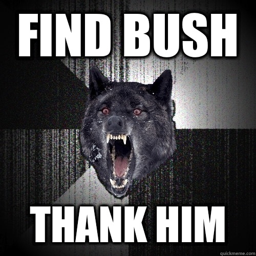 Find Bush Thank him  Insanity Wolf