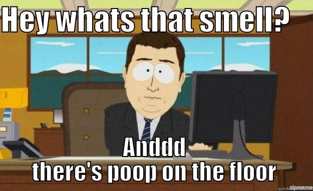 HEY WHATS THAT SMELL?     ANDDD THERE'S POOP ON THE FLOOR aaaand its gone