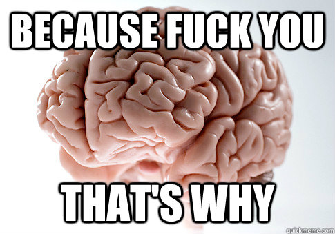 BECAUSE FUCK YOU THAT'S WHY   Scumbag Brain