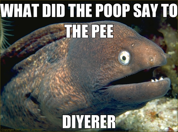 WHAT DID THE POOP SAY TO THE PEE DIYERER  Bad Joke Eel