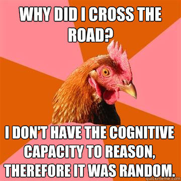Why did i cross the road? i don't have the cognitive capacity to reason, therefore it was random.   