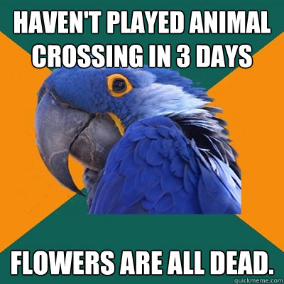 Haven't played Animal Crossing in 3 days Flowers are all dead.  Paranoid Parrot