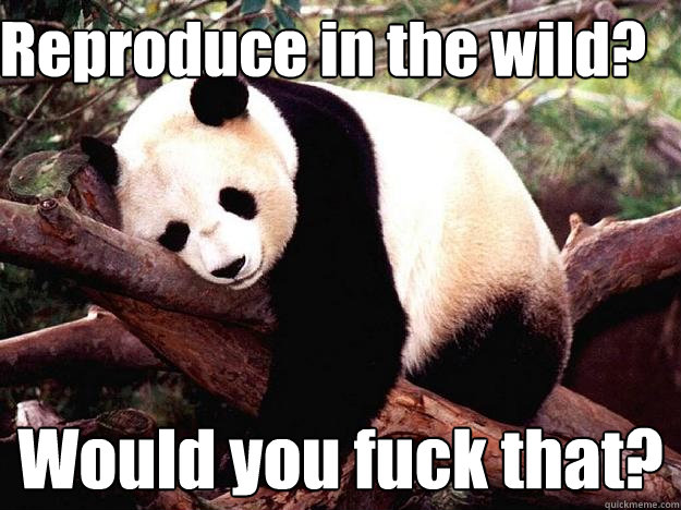 Reproduce in the wild? Would you fuck that?  Procrastination Panda