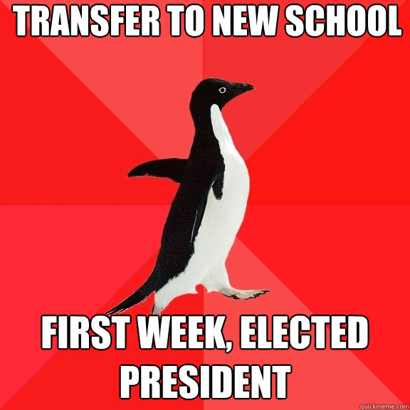 transfer to new school first week, elected president  Socially Awesome Penguin