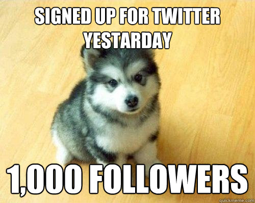 signed up for twitter yestarday 1,000 followers  Baby Courage Wolf