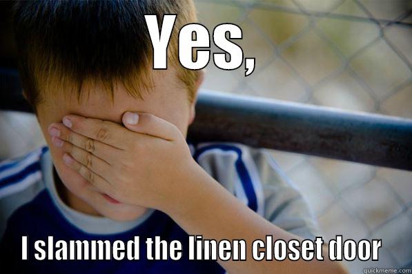 YES, I SLAMMED THE LINEN CLOSET DOOR  Confession kid