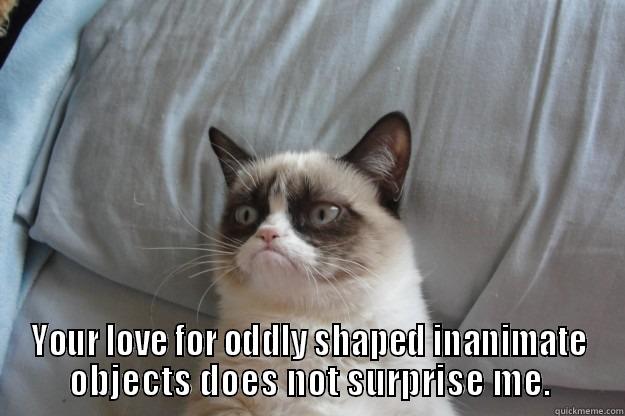  YOUR LOVE FOR ODDLY SHAPED INANIMATE OBJECTS DOES NOT SURPRISE ME. Grumpy Cat