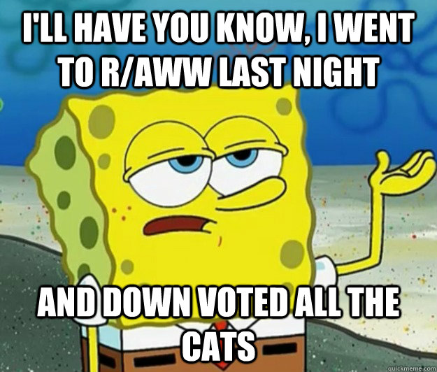 I'll have you know, I went to r/aww last night And down voted all the cats - I'll have you know, I went to r/aww last night And down voted all the cats  Tough Spongebob