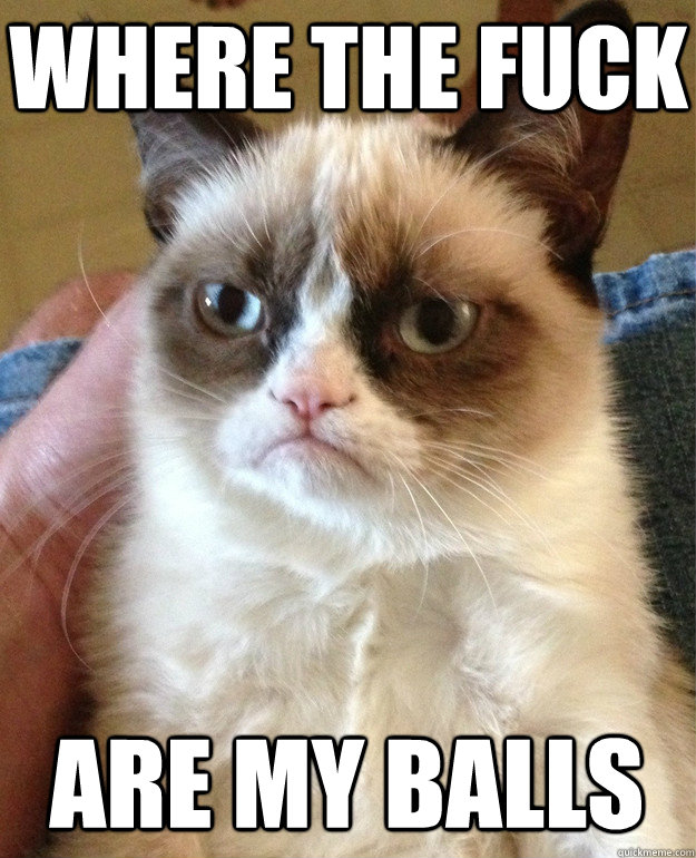 Where The Fuck Are My Balls  Grumpy Cat