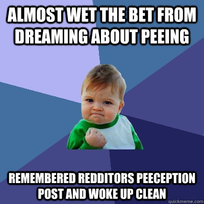 almost wet the bet from dreaming about peeing remembered redditors peeception post and woke up clean  Success Kid