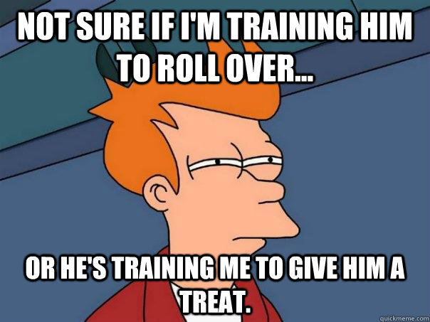 Not sure if i'm training him to roll over... Or he's training me to give him a treat.  Futurama Fry