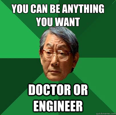 you can be anything you want doctor or engineer  High Expectations Asian Father