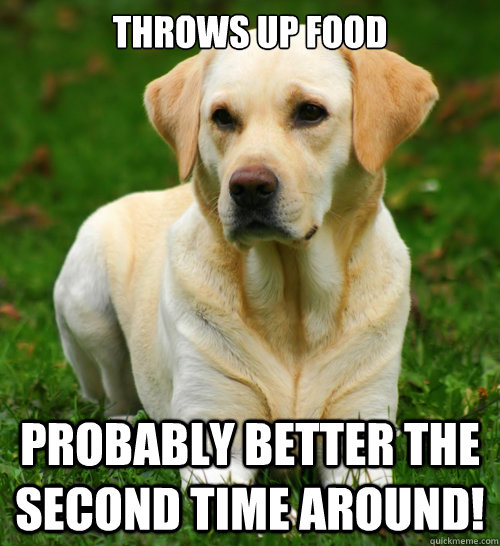 Throws up food  Probably better the second time around!  Dog Logic