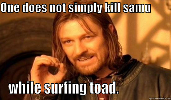 ONE DOES NOT SIMPLY KILL SAMU                        WHILE SURFING TOAD.                 Boromir