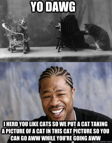 yo dawg I herd you like cats so we put a cat taking a picture of a cat in this cat picture so you can go aww while you're going aww - yo dawg I herd you like cats so we put a cat taking a picture of a cat in this cat picture so you can go aww while you're going aww  Misc