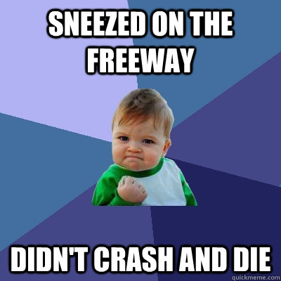 Sneezed on the Freeway Didn't crash and die  Success Kid