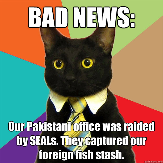 BAD NEWS: Our Pakistani office was raided by SEALs. They captured our foreign fish stash.  Business Cat