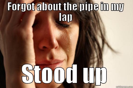 FORGOT ABOUT THE PIPE IN MY LAP STOOD UP First World Problems