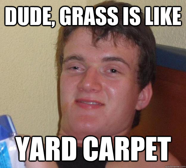 dude, grass is like yard carpet  10 Guy