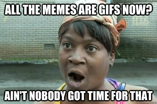 all the memes are gifs now? AIN'T NOBODY GOT time for that  Aint nobody got time for that