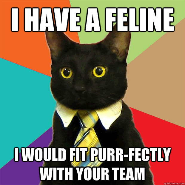 I have a feline I would fit purr-fectly with your team  Business Cat