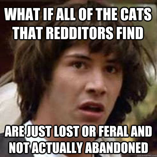 what if all of the cats that redditors find are just lost or feral and not actually abandoned  conspiracy keanu