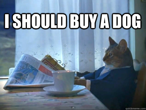 I should buy a dog - I should buy a dog  1% Cat