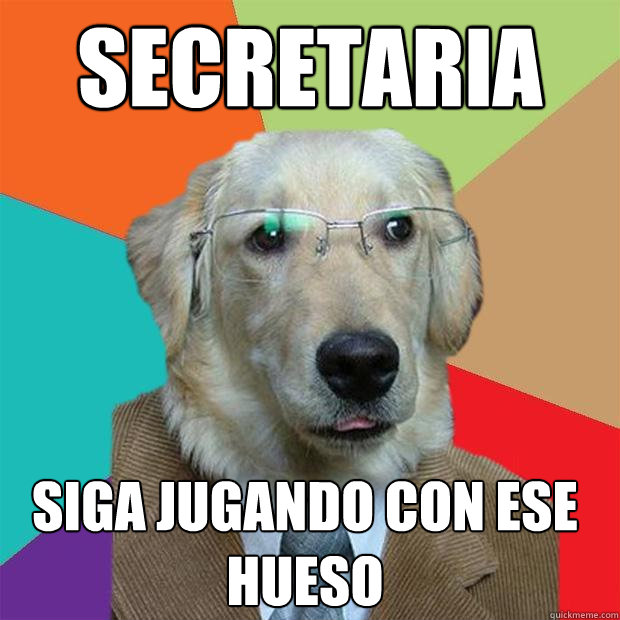 Secretaria Siga jugando con ese hueso  Business Dog