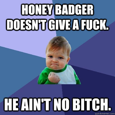 Honey Badger doesn't give a fuck. He ain't no bitch.  Success Kid