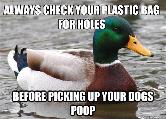 Always check your plastic bag for holes before picking up your dogs poop  Actual Advice Mallard