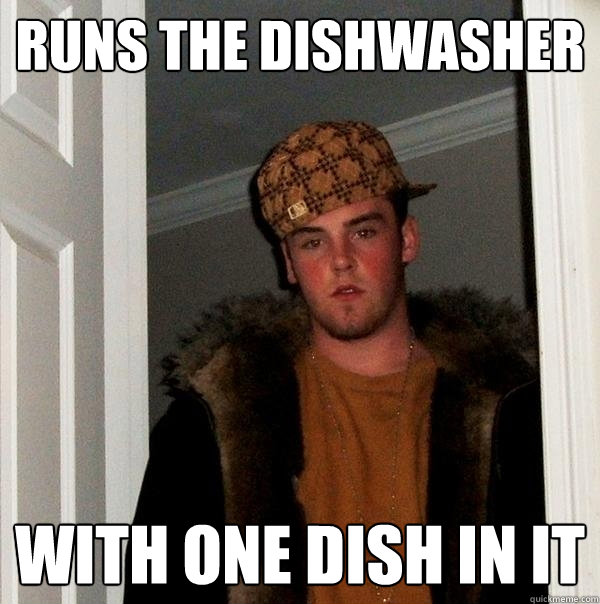 runs the dishwasher with one dish in it  Scumbag Steve