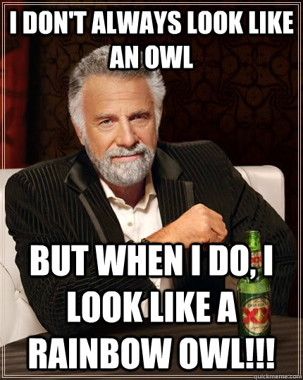 I don't always look like an owl but when I do, I look like a RAINBOW owl!!!   The Most Interesting Man In The World