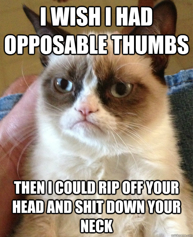 I wish I had opposable thumbs Then I could rip off your head and shit down your neck  Grumpy Cat