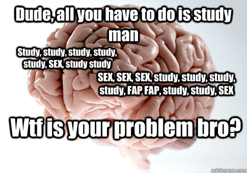 Dude, all you have to do is study man Study, study, study, study, study, SEX, study study SEX, SEX, SEX, study, study, study, study, FAP FAP, study, study, SEX Wtf is your problem bro?  Scumbag Brain