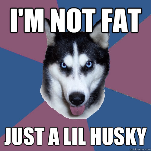 I'm not fat Just a lil husky  Creeper Canine