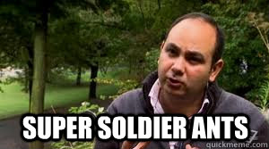 super soldier ants - super soldier ants  Ehab Abouheif