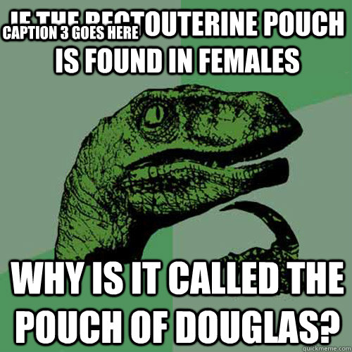 If the rectouterine pouch is found in females why is it called the pouch of douglas?  Caption 3 goes here  Philosoraptor